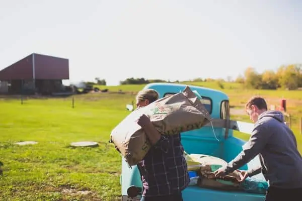 Farm workers carry feed sacks after unloading them from a Tiffany blue 1949 Chevy farm truck. 