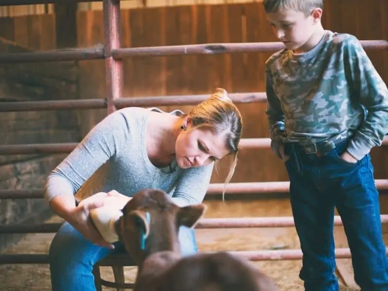 Meredith Benard feeding a bottle calf
