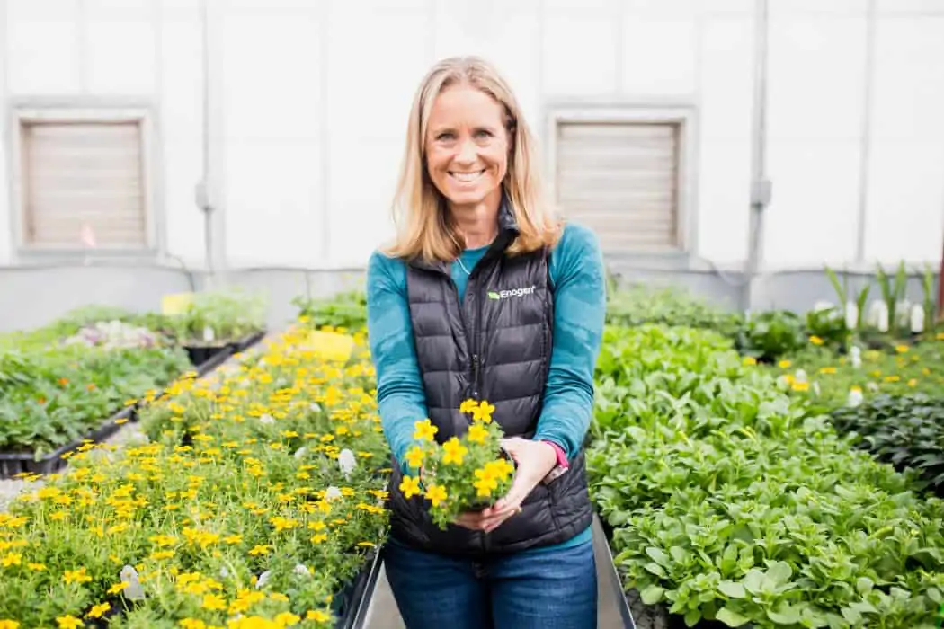 Liz Hunt, Head of Sustainable and Responsible Business for Syngenta holding yellow flowers in a greenhouse at Kansas State University.